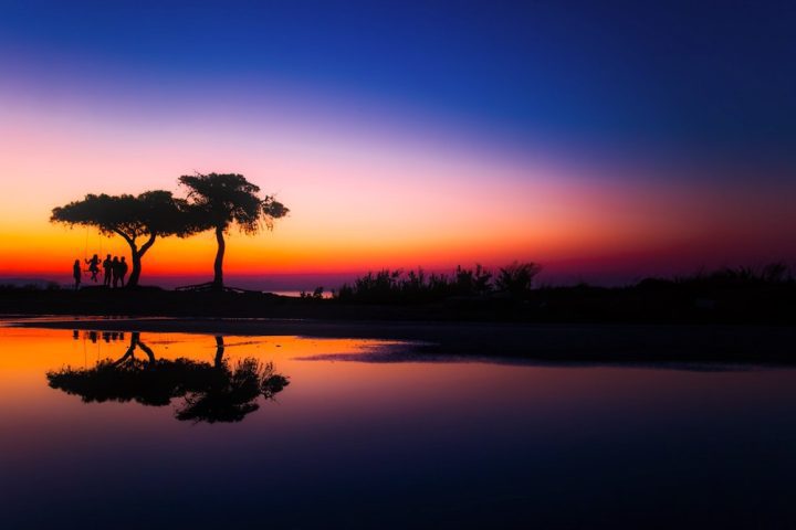 Reflection of Trees on Water